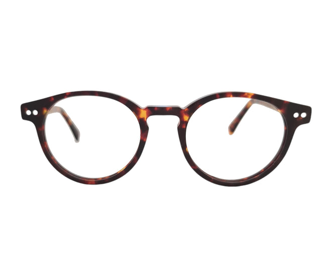 Gogo Mini Tortoise Cafe Acetato Premium Optico Personalizado