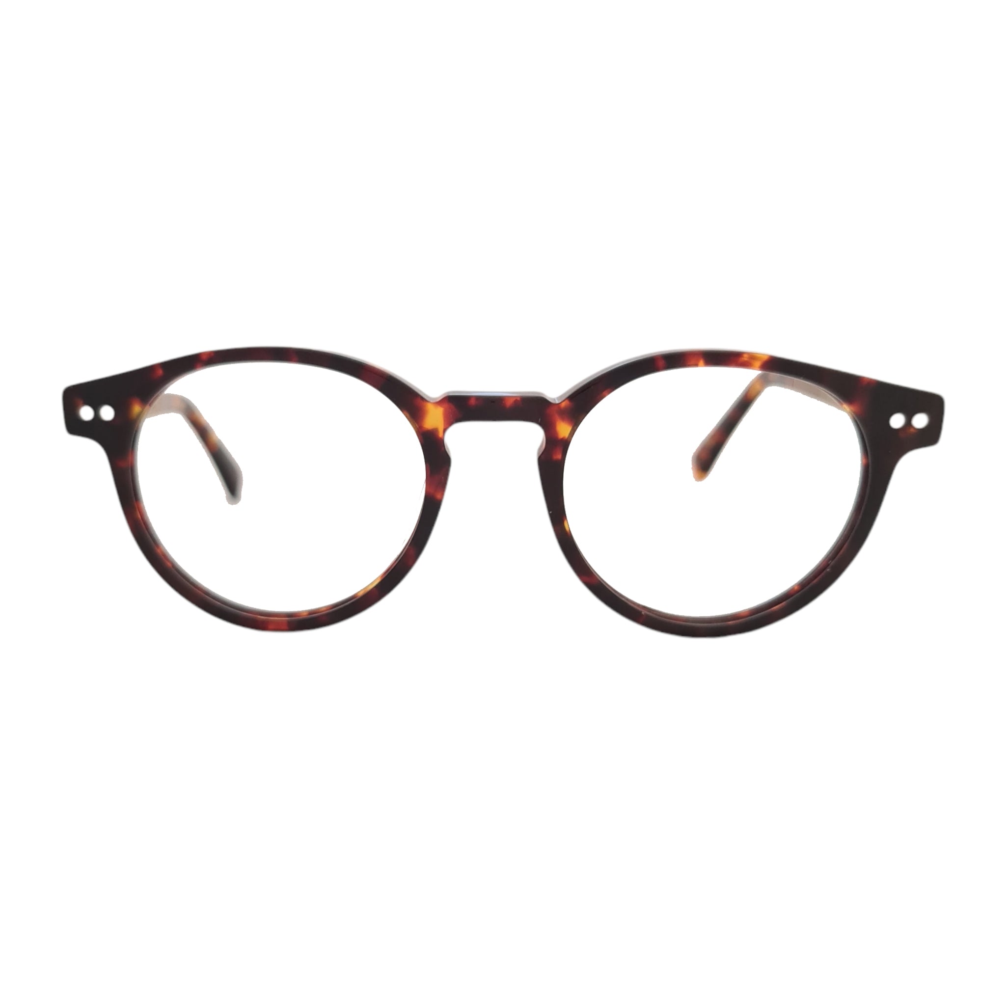 Gogo Mini Tortoise Cafe Acetato Premium Optico