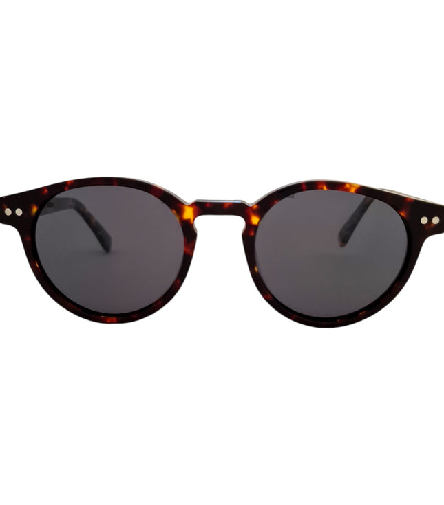 Gogo Mini Tortoise Cafe Acetato Premium De Sol